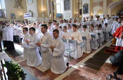 Pielgrzymka Liturgicznej Służby Ołtarza
