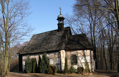 Krzyż z pierwszej świątyni - Olszyna