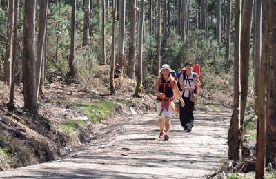 Camino de Santiago - dzień XXII