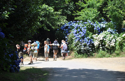 Camino de Santiago - Dzień XXVI