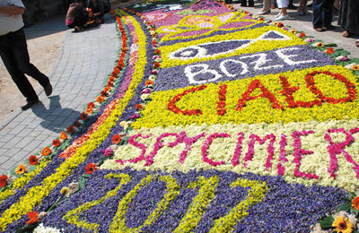 Pielgrzymka do Spycimierza  