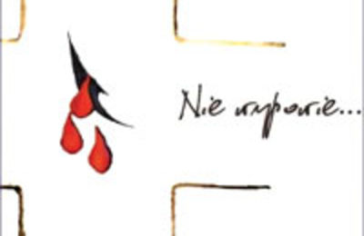 Płyta: