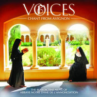 voice