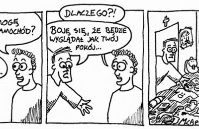 Na skróty do dojrzałości