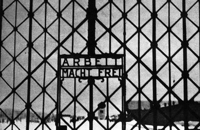 Pamięć obozów - 70. rocznica wyzwolenia Auschwitz i Dachau
