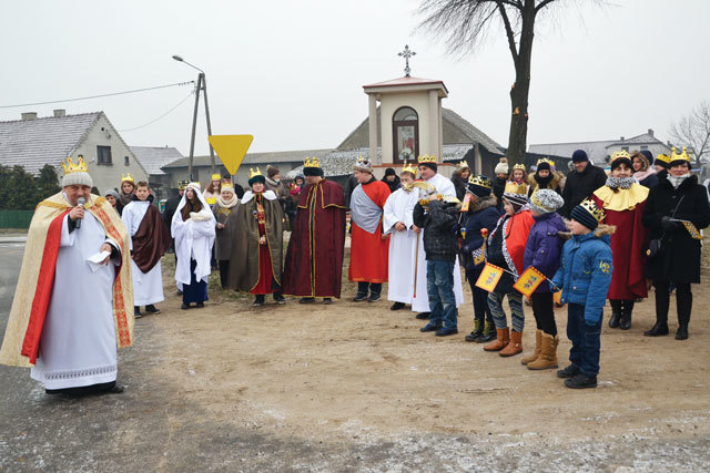 Wierzbno2