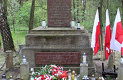 W Lesie Winiarskim