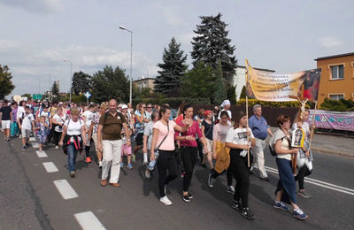 Pielgrzymka ?Od Józefa do Karmelu? - Niedźwiady