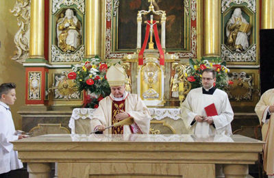 Ołtarz i ambona - Cieszyn
