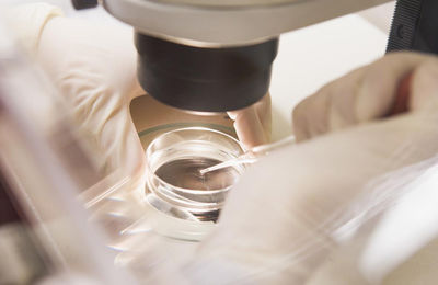 In vitro - nie! Dlaczego? - Ostrów Wielkopolski