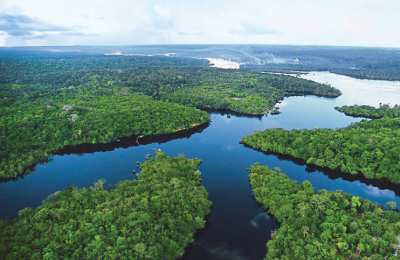 Amazonia  marzeń