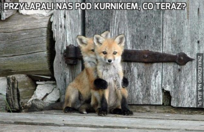 Zapraszamy  do udziału  w teleturnieju  „Znajdź intruza”