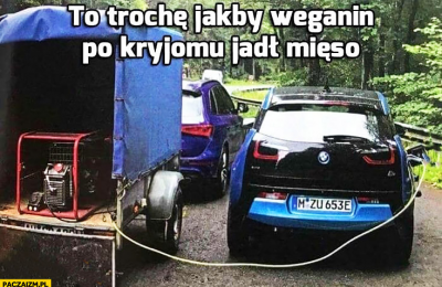 Zielony ład nienawidzi  samochodów spalinowych, ale żeby krów?