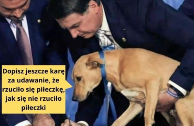 O obrońcach papieża, miłośnikach zwierząt i strażnikach małżeństwa