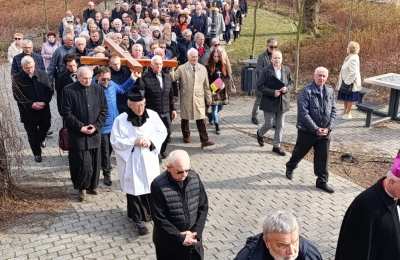 Wnikając w tajemnicę Bożego zamysłu