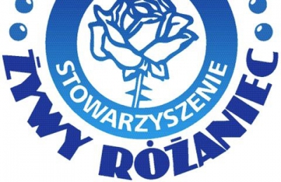 Wybory
