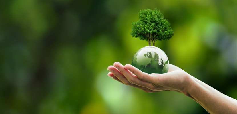 Kiedy księża przypominają sobie o ekologii?