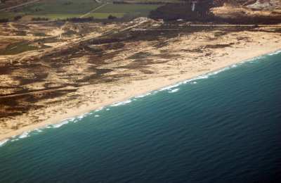 Zatrzymani bez walki