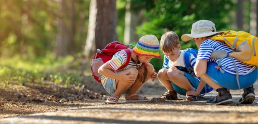 Wiosenny reset dla dziecięcego mózgu