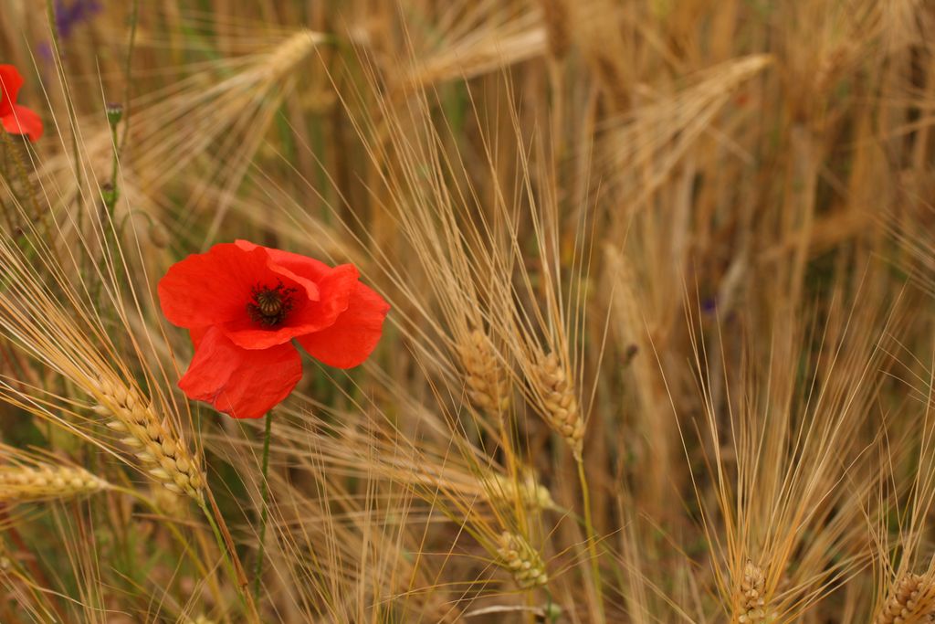 Zdjęcie: Małgorzata Gębala